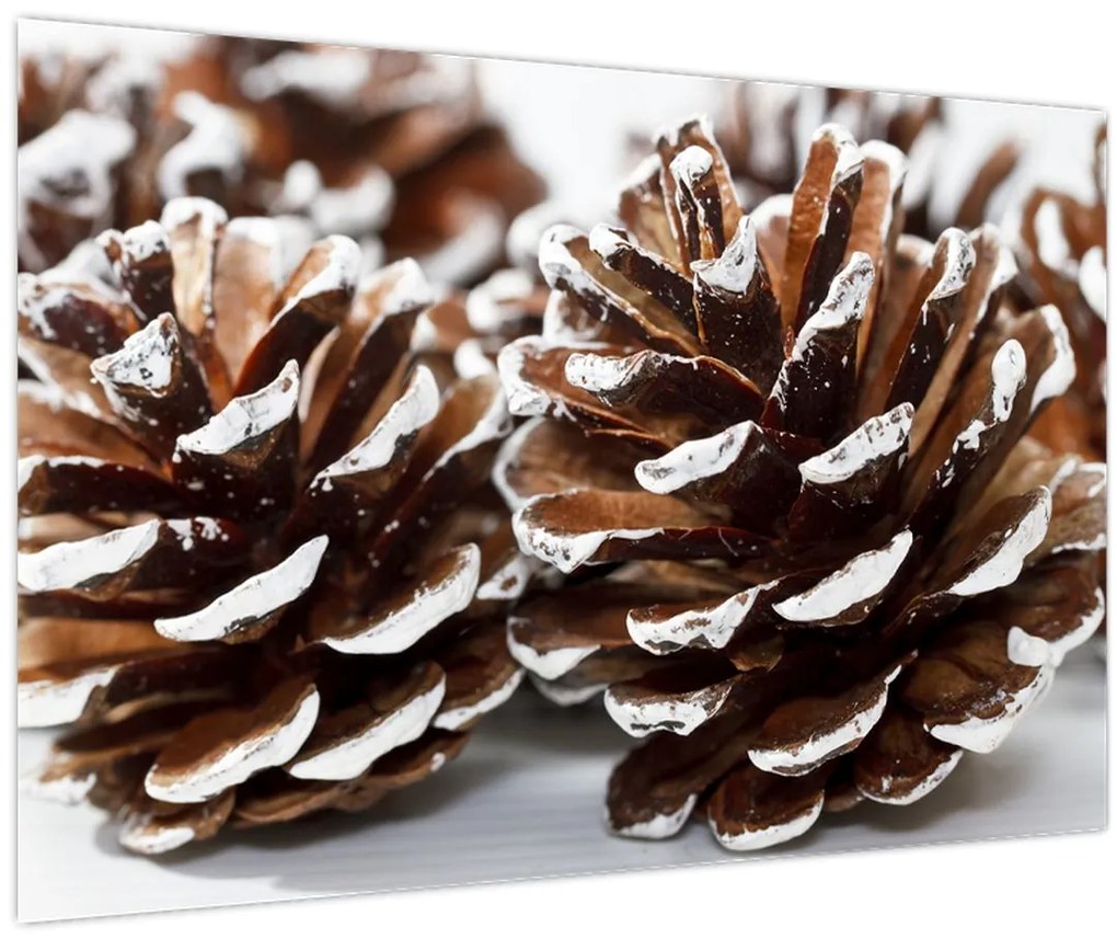 Tablou - Gogoși (90x60 cm)