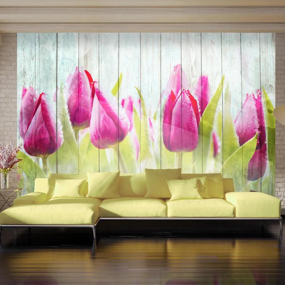 Fototapet Bimago - Tulips on white wood + Adeziv gratuit 400x280 cm
