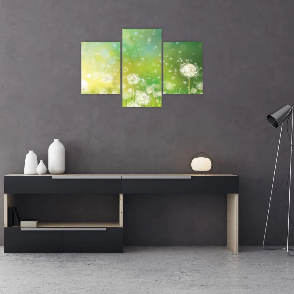 Tablou - Păpădie înflorită (90x60 cm)