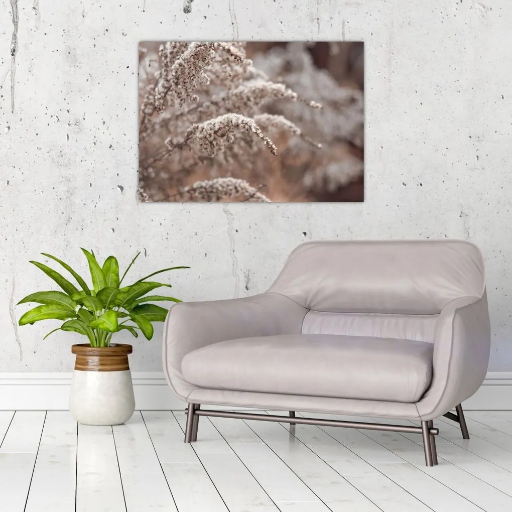 Tablou cu plante (70x50 cm)