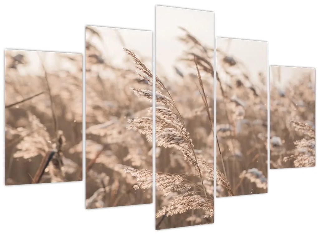Tablou - Adiere de luncă (150x105 cm)