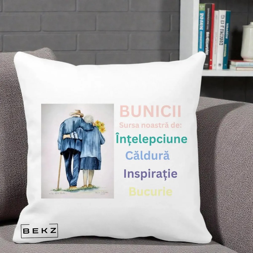 Cadou pentru Bunici - Perna Personalizata Bunicii Sursa Intelepciune Caldura Acuarela, 40x40 cm, Alba Mata, Husa Detasabila, Perna Inclusa, BEKZ®