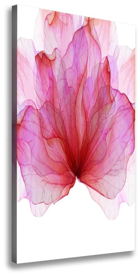 Tablou pe pânză canvas Floare roz