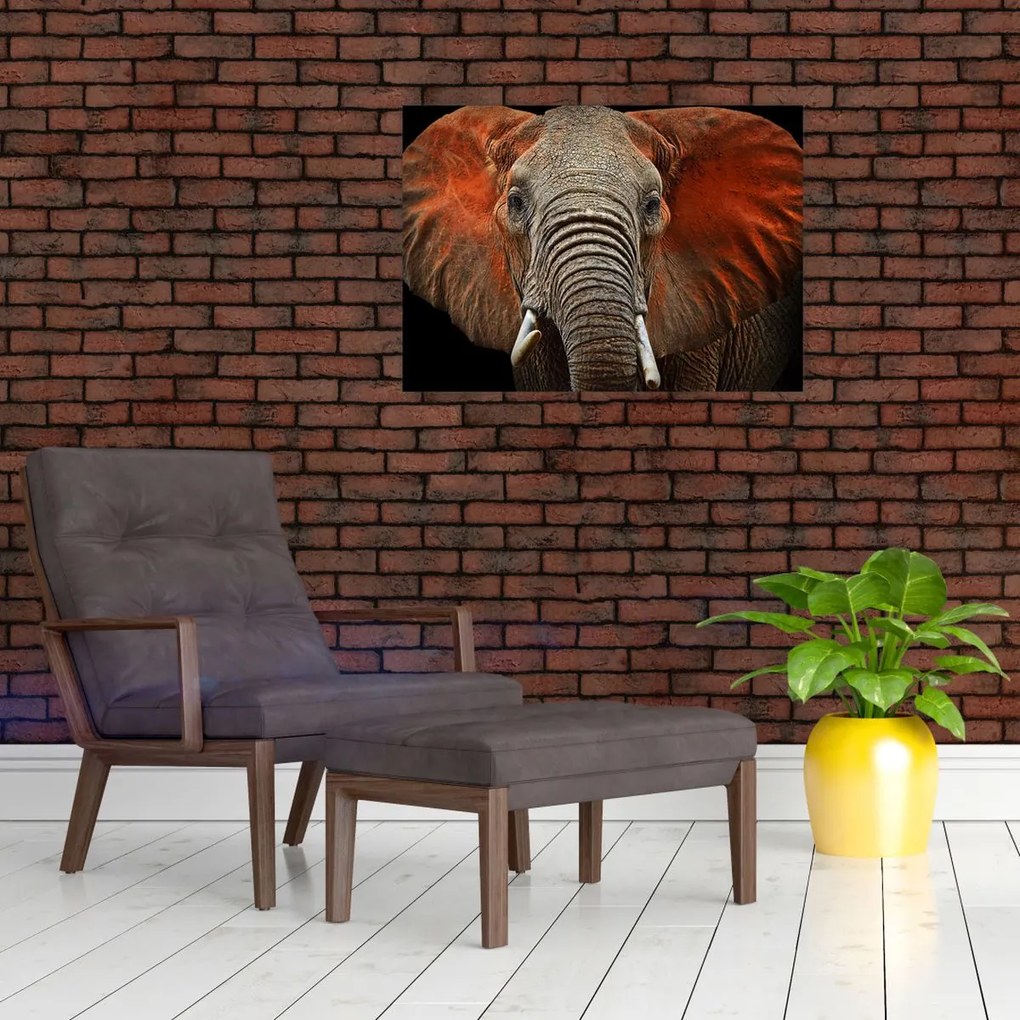 Tablou pe sticlă - Elefanți cu Tsavo (70x50 cm)