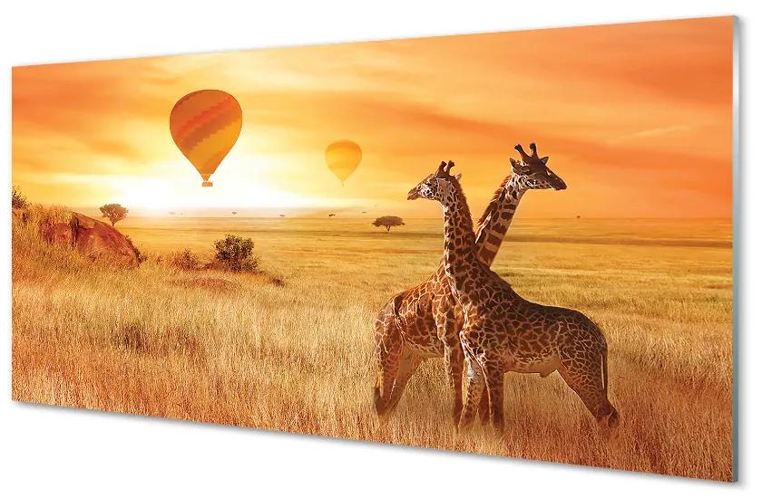 Tablouri acrilice Baloane cer girafă