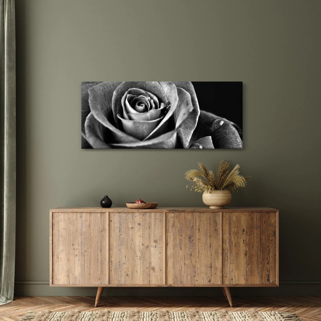 Tablou - Trandafir,alb-negru (120x50 cm)