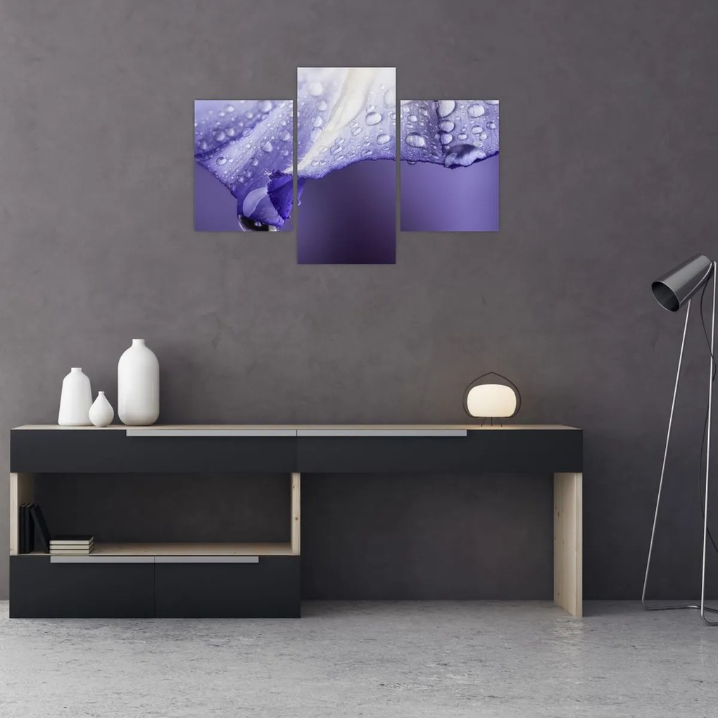Tablou - Petală cu picături (90x60 cm)