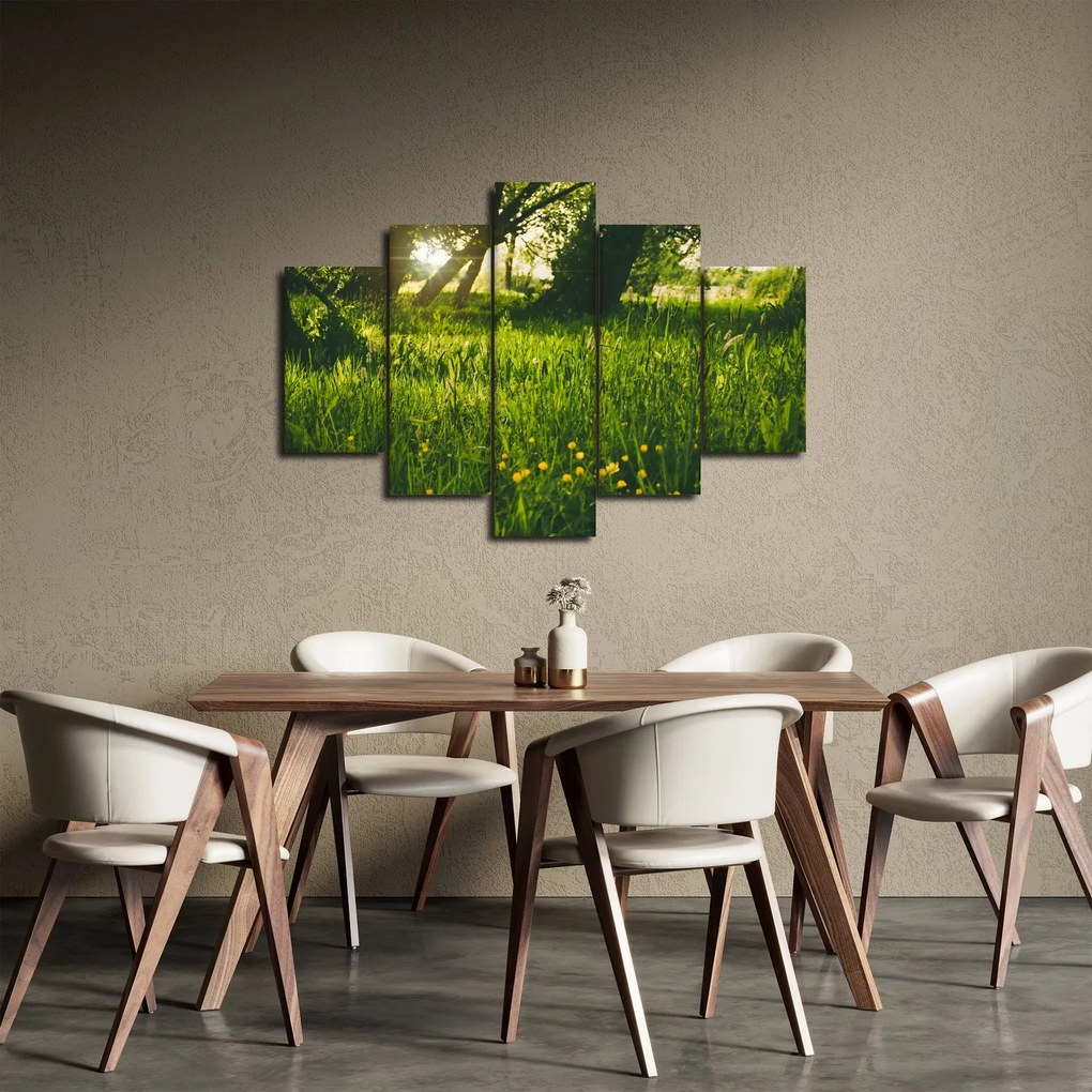 Tablou cu natura - lunca (150x105 cm)