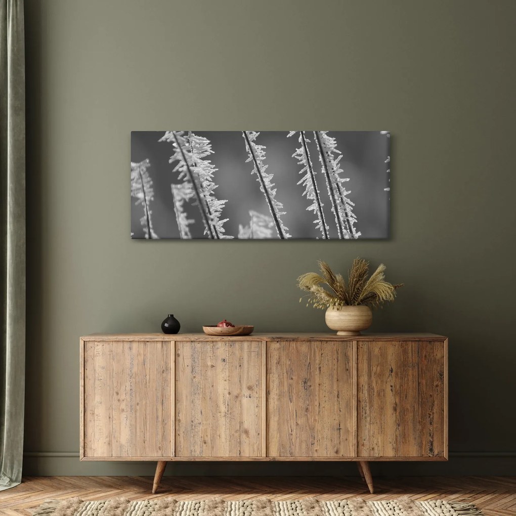 Tablou - Frig de îngheț (120x50 cm)