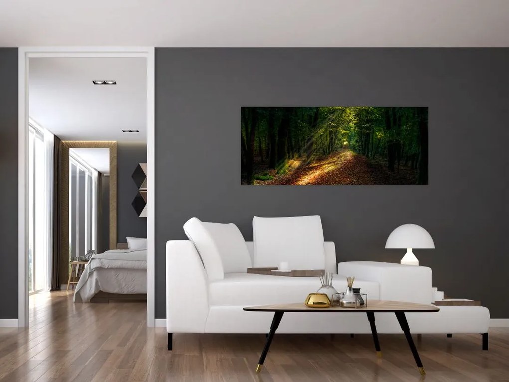 Tablou cu poteca prin pădure (120x50 cm)