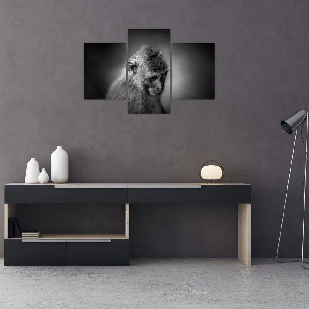 Tablou - Maimuță (90x60 cm)