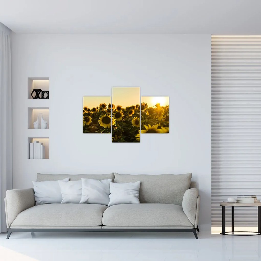 Tablou cu lan de floarea soarelui (90x60 cm)