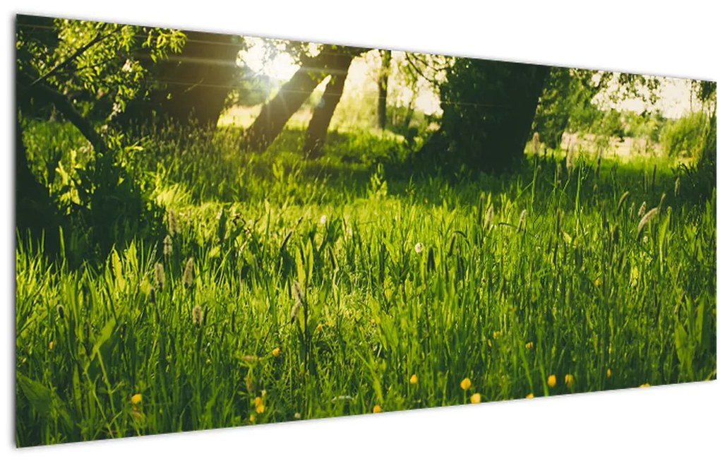 Tablou cu natura - lunca (120x50 cm)