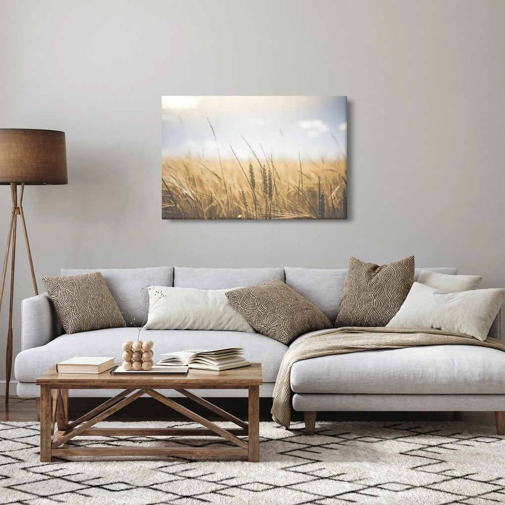 Tablou cu grâne (90x60 cm)