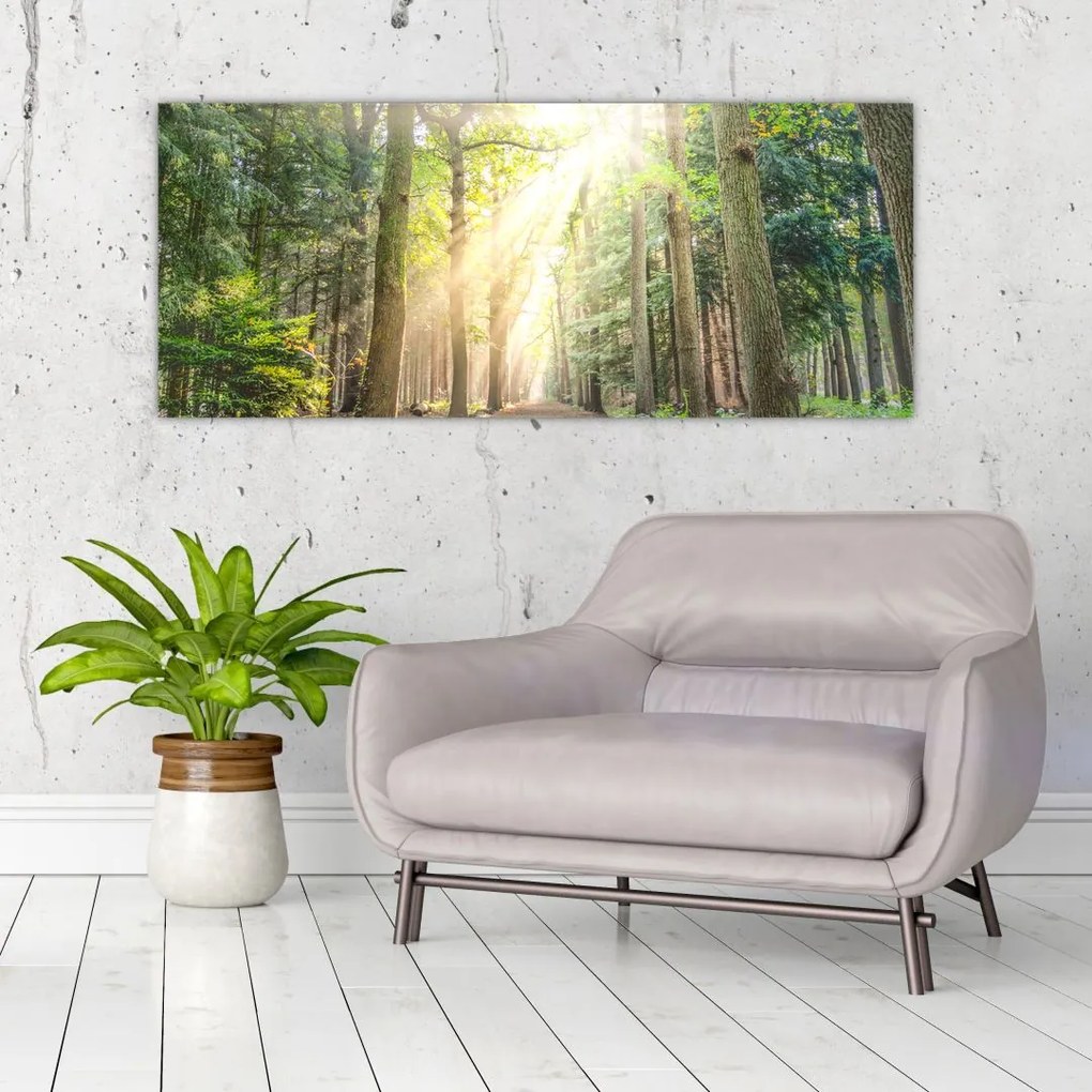 Tablou - Poteci în pădure (120x50 cm)