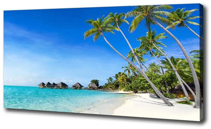 Tablou pe pânză canvas Maldive