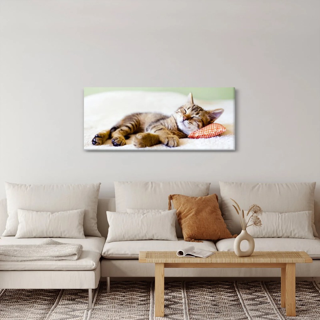 Tablou - Pisicuța adormită (120x50 cm)