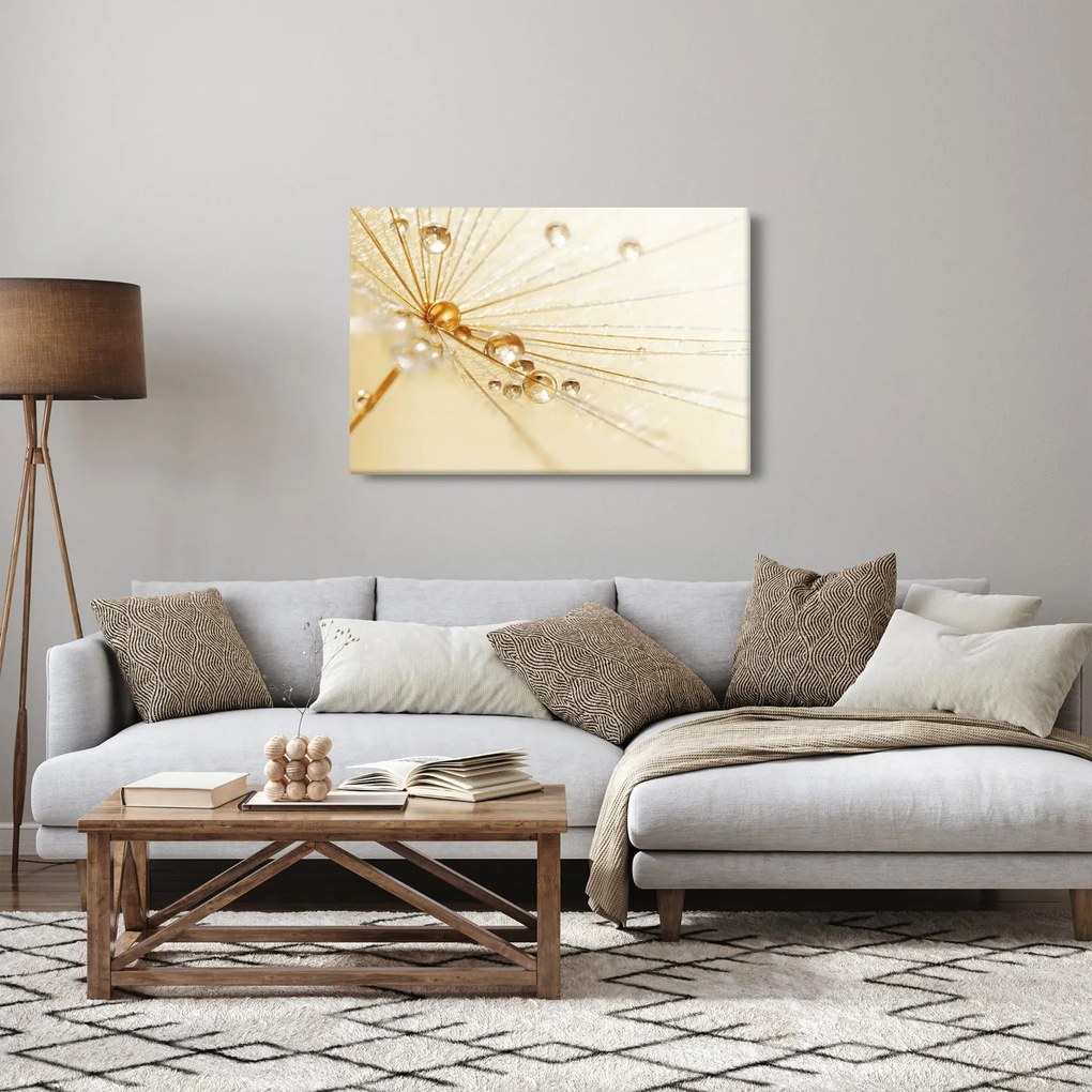 Tablou - Fotografie macro de păpădie (90x60 cm)