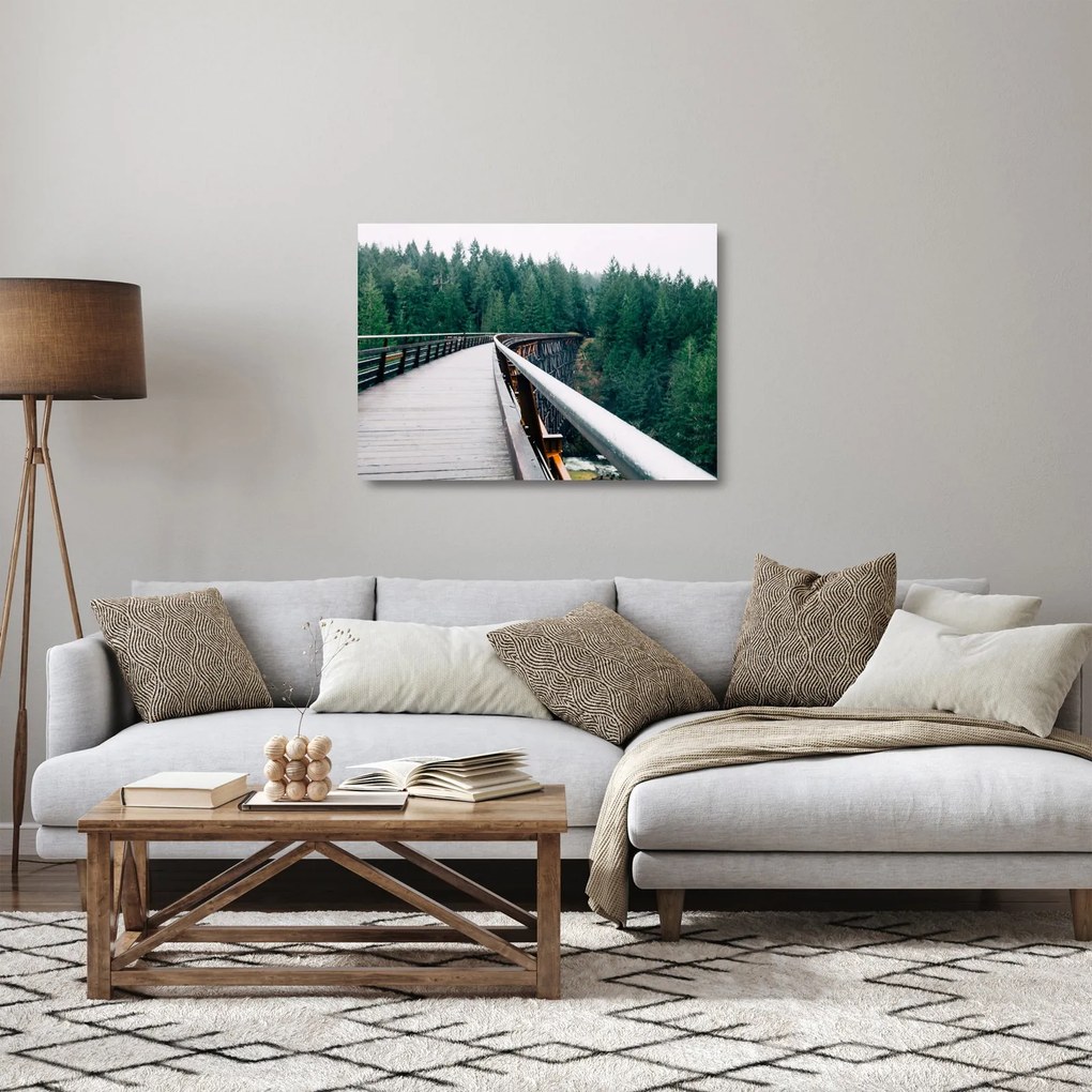 Tablou pe sticlă - Pod spre vârfurile copacilor (70x50 cm)