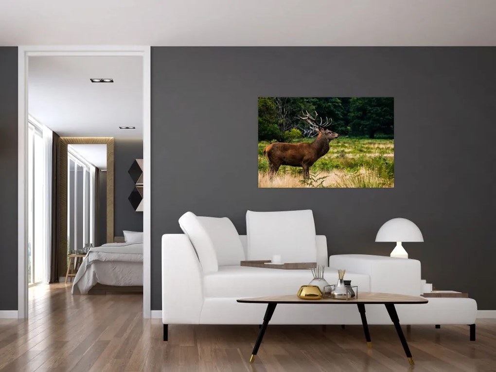 Tablou cu cerb (90x60 cm)