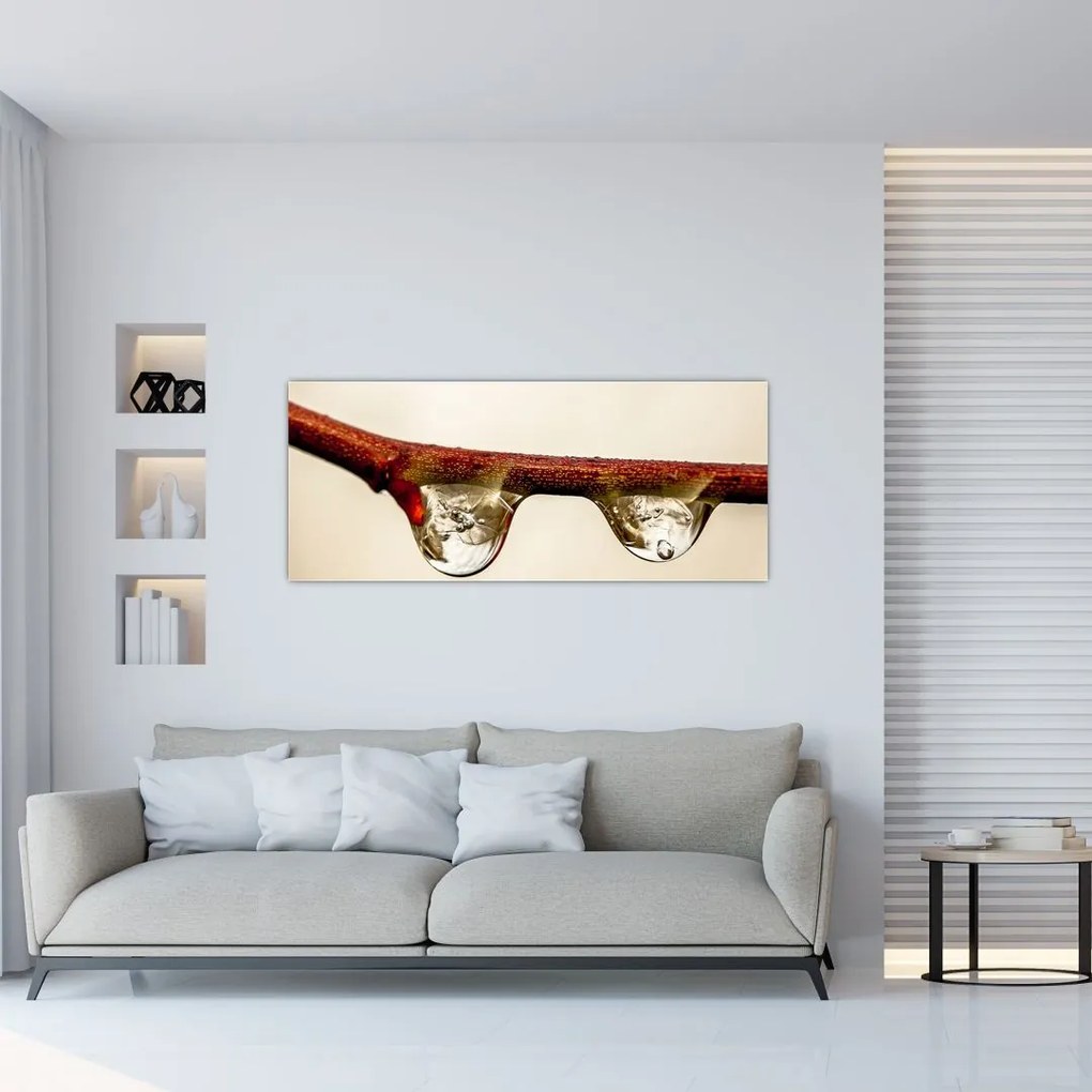 Tablou cu picături de apă pe creangă (120x50 cm)