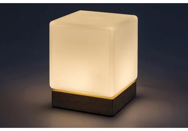 Lampă LED dimabilă de masă Rabalux 76003 PIRIT LED/1,2W/5V 3000K fag