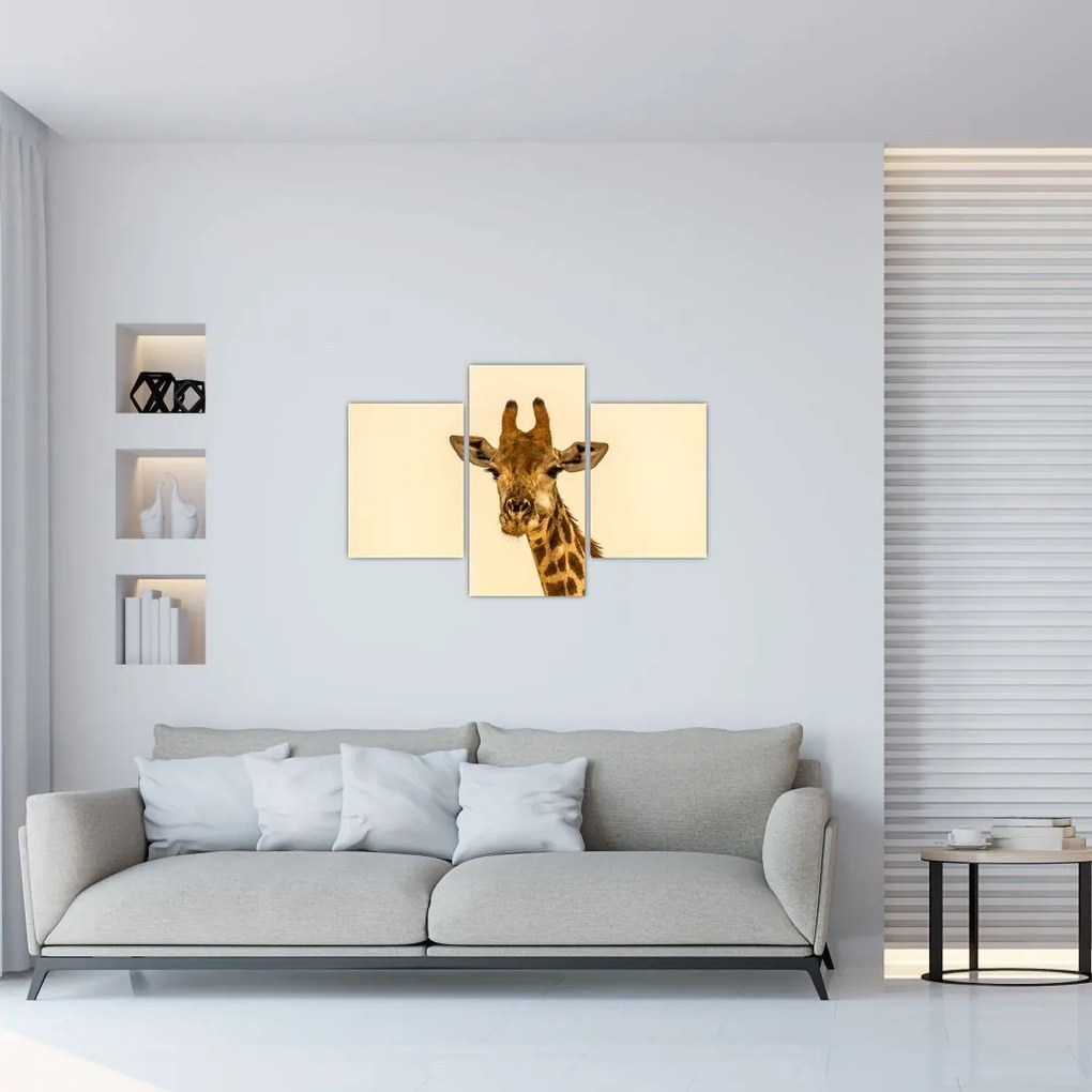Tablou cu girafe (90x60 cm)
