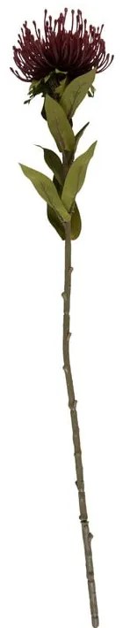 Plantă artificială (înălțime 60 cm) Protea – PT LIVING