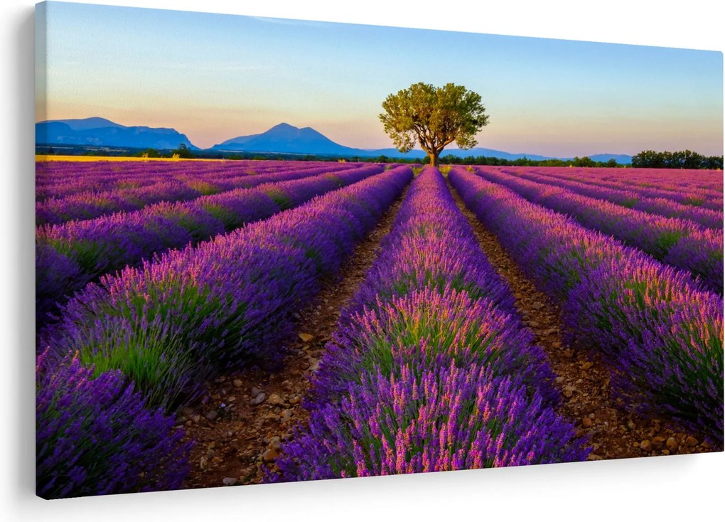 Tablou - Câmp de lavandă (90x60 cm)