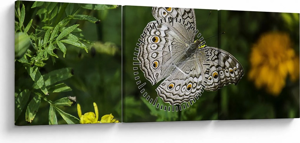 Tablou - fluture alb (cu ceas) (90x30 cm)