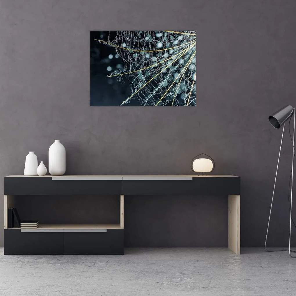Tablou pe sticlă - Floare cu pânză de pâianjen (70x50 cm)
