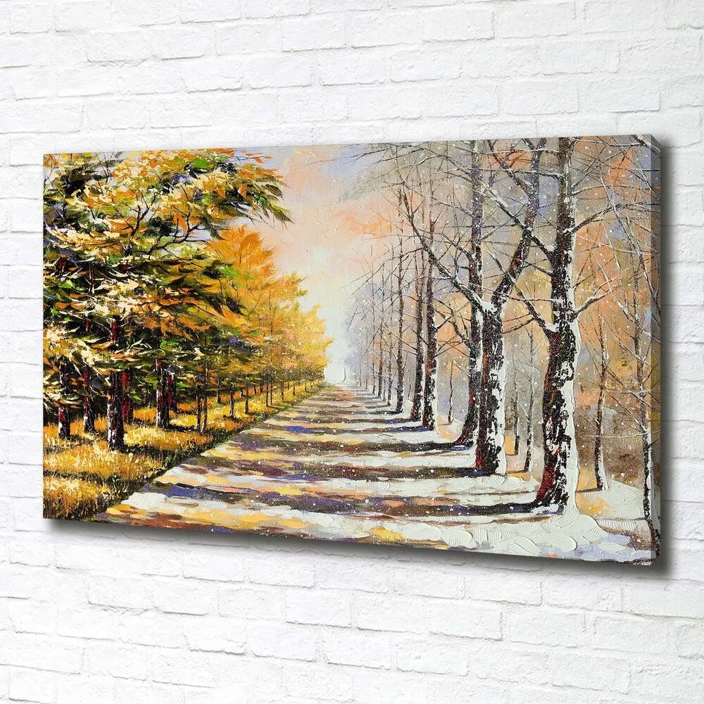 Print pe canvas Toamna iarna vs.