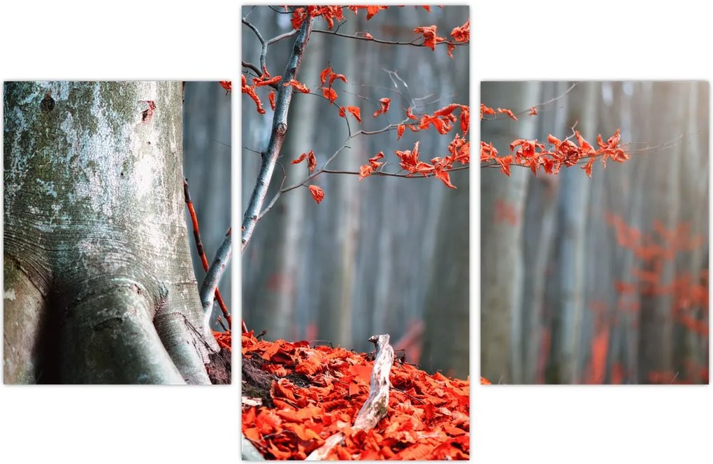 Tablou - Toamna (90x60 cm)
