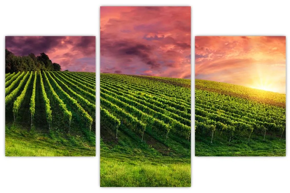 Tablou cu vie cu cerul color (90x60 cm)
