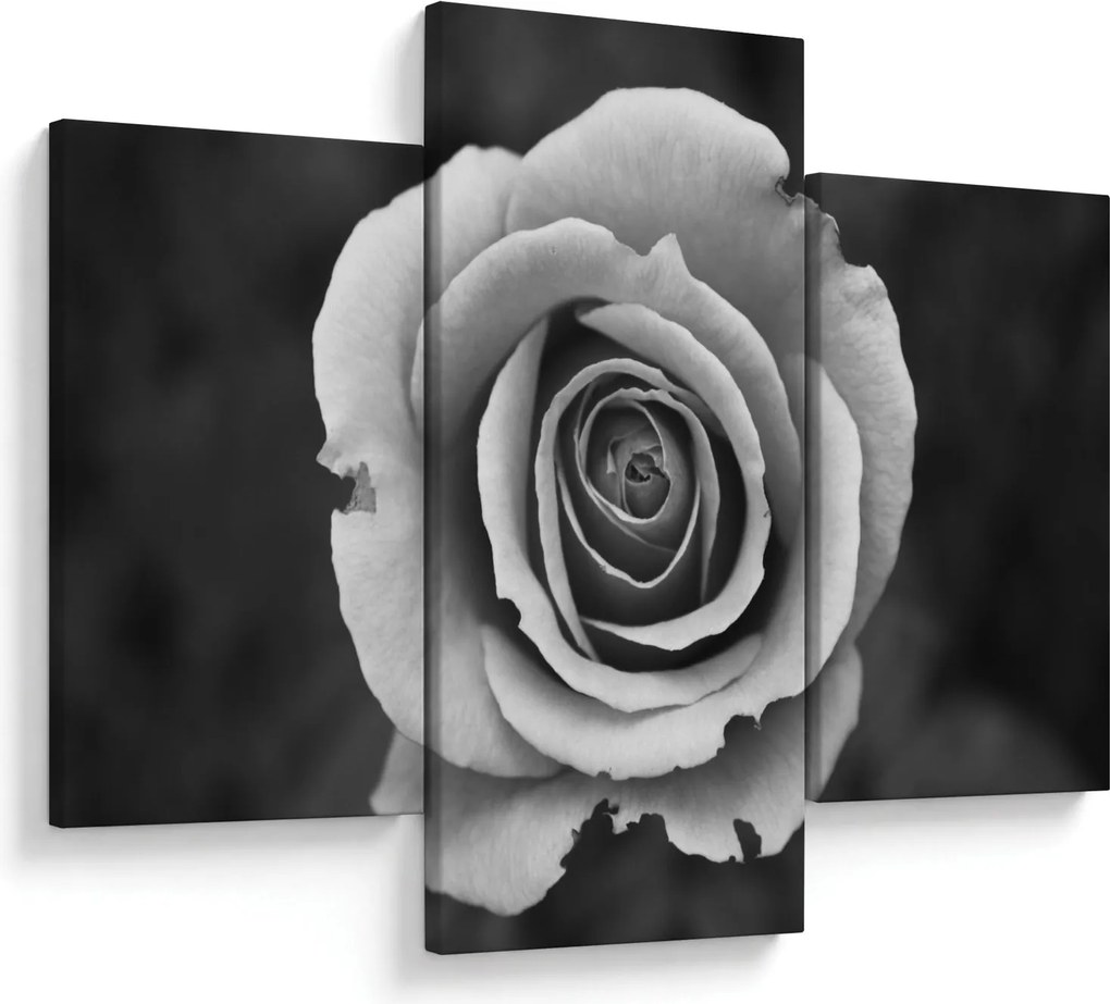 Tablou - Trandafir (90x60 cm)