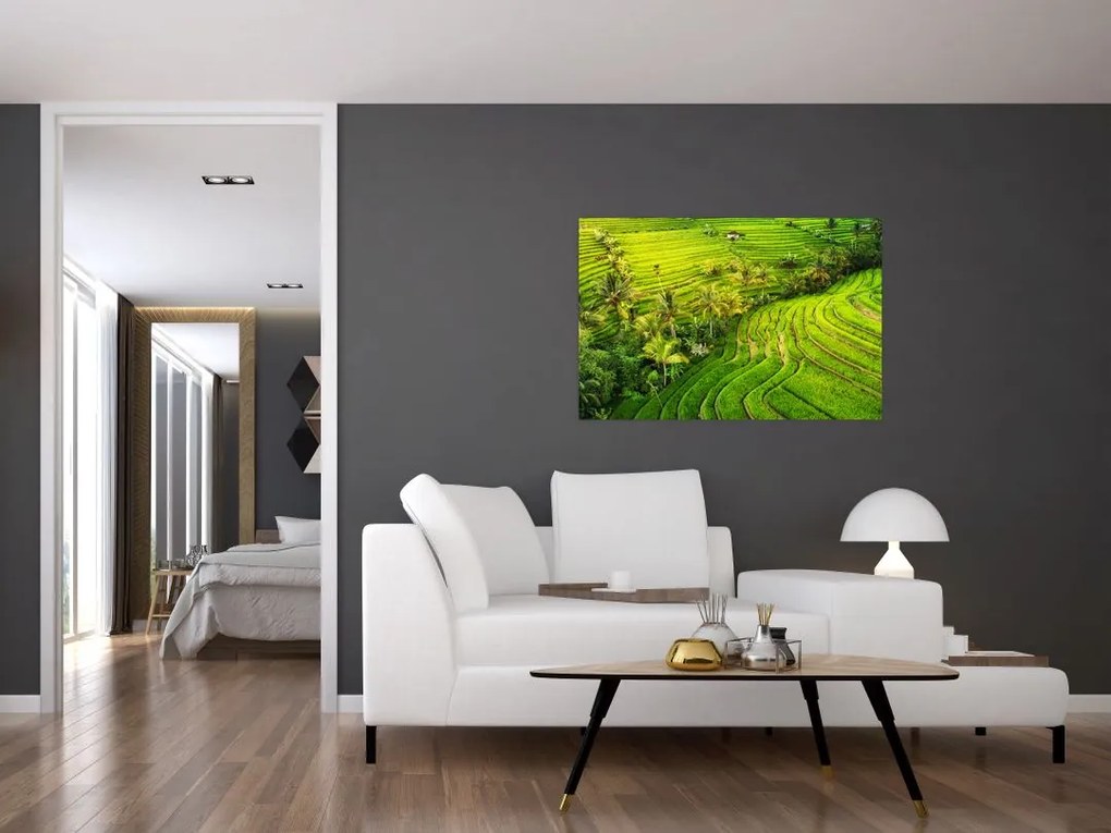 Tablou - Terase de orez (90x60 cm)