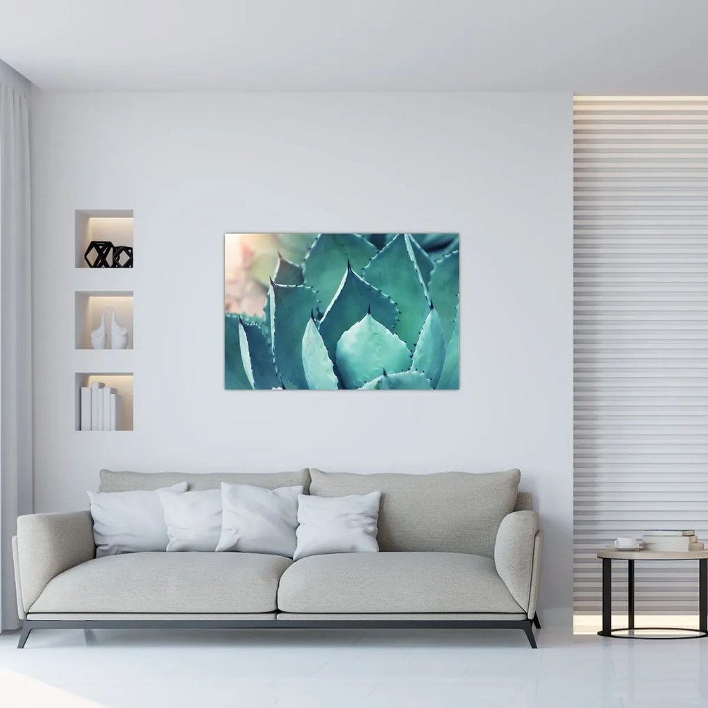 Tablou - Suculent (90x60 cm)