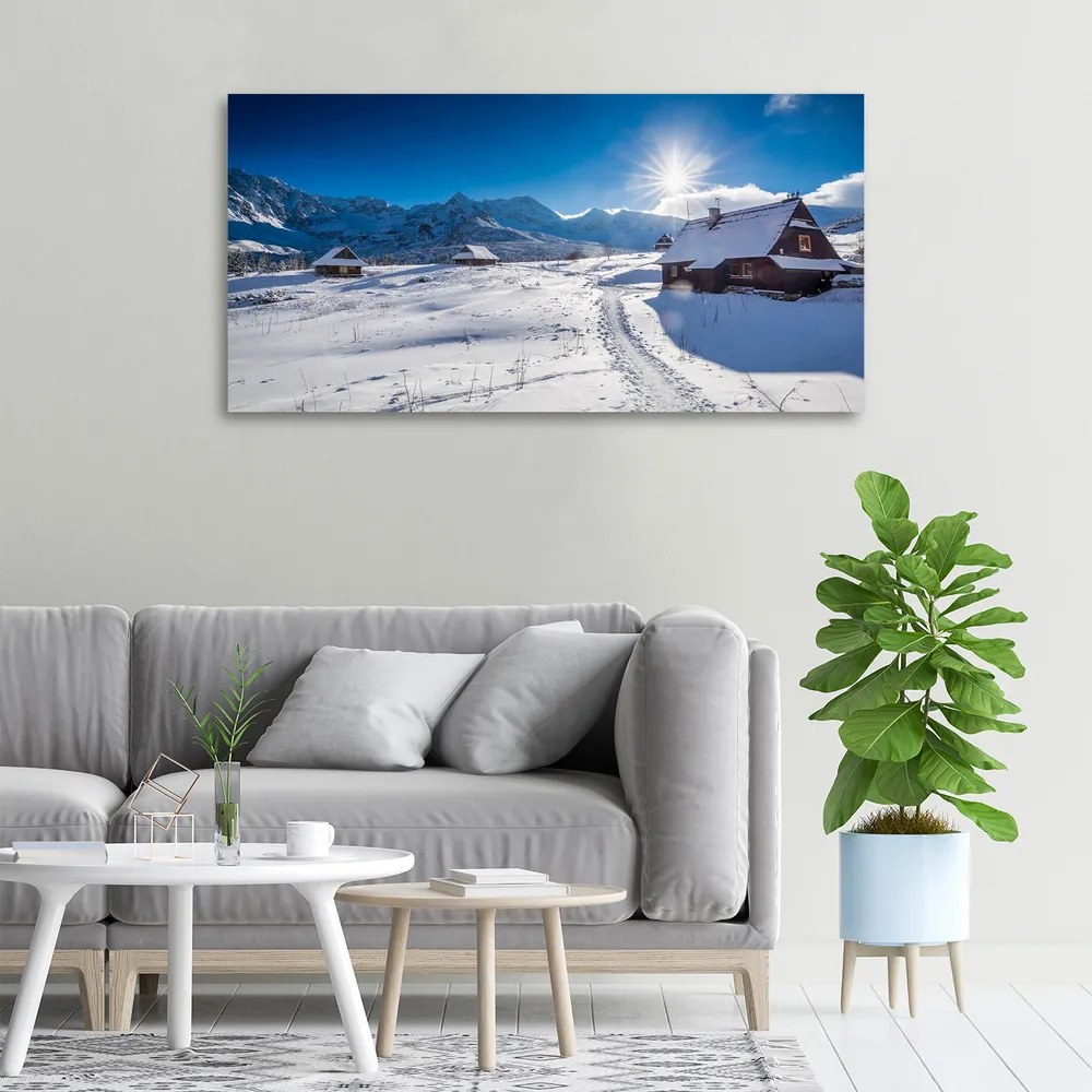 Tablou canvas Hale tatry