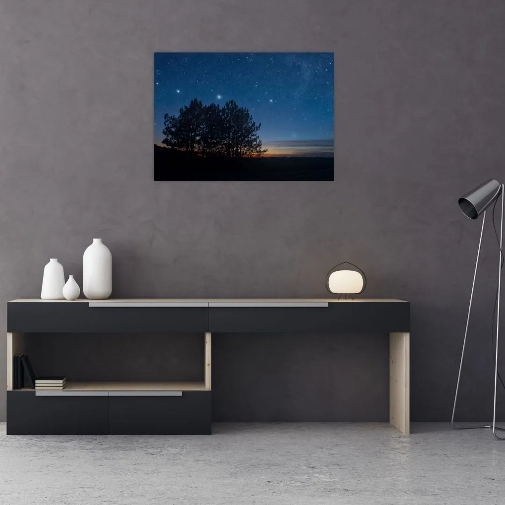 Tablou cu copaci noapte (70x50 cm)