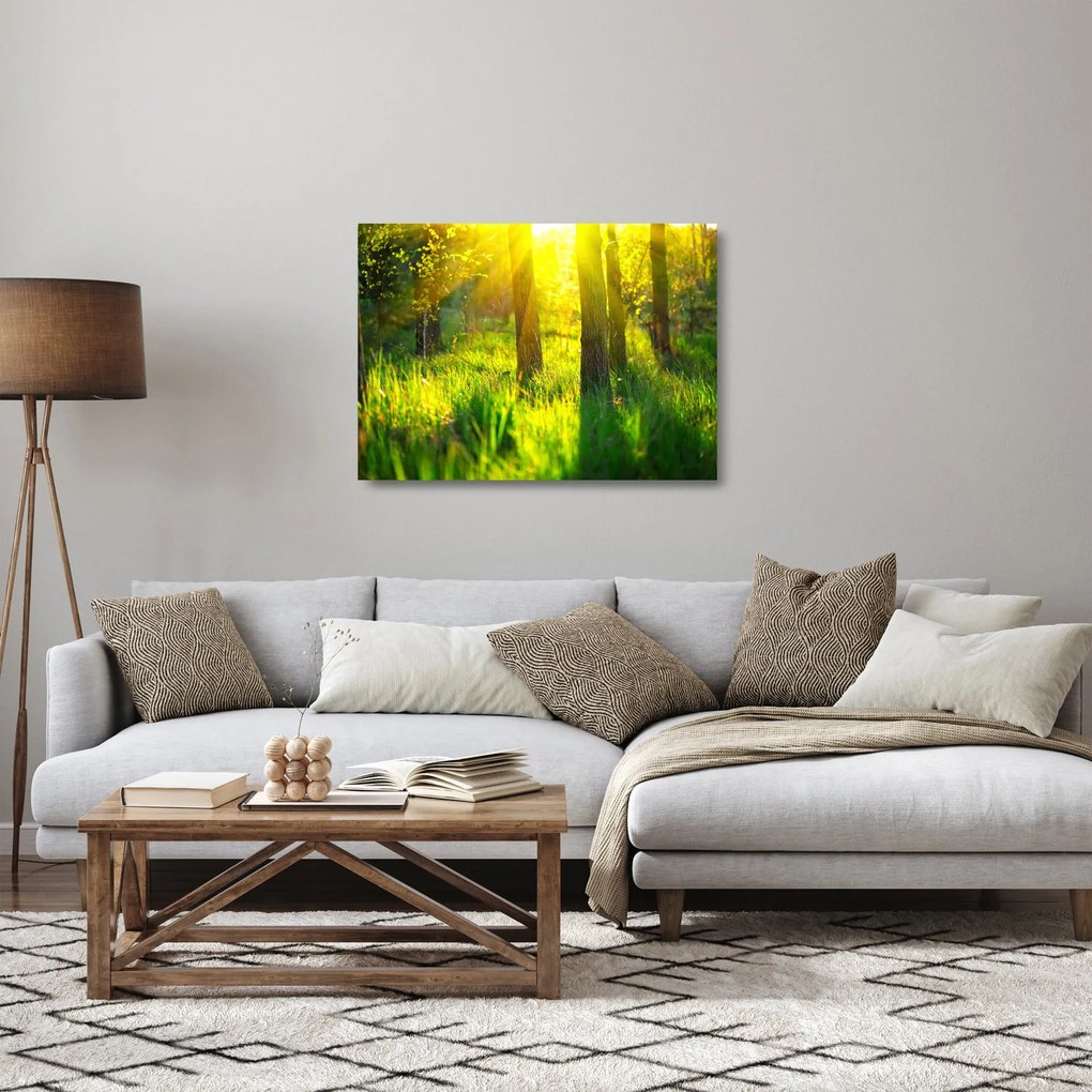Tablou pe sticlă - Trezirea de primăvară a pădurii (70x50 cm)