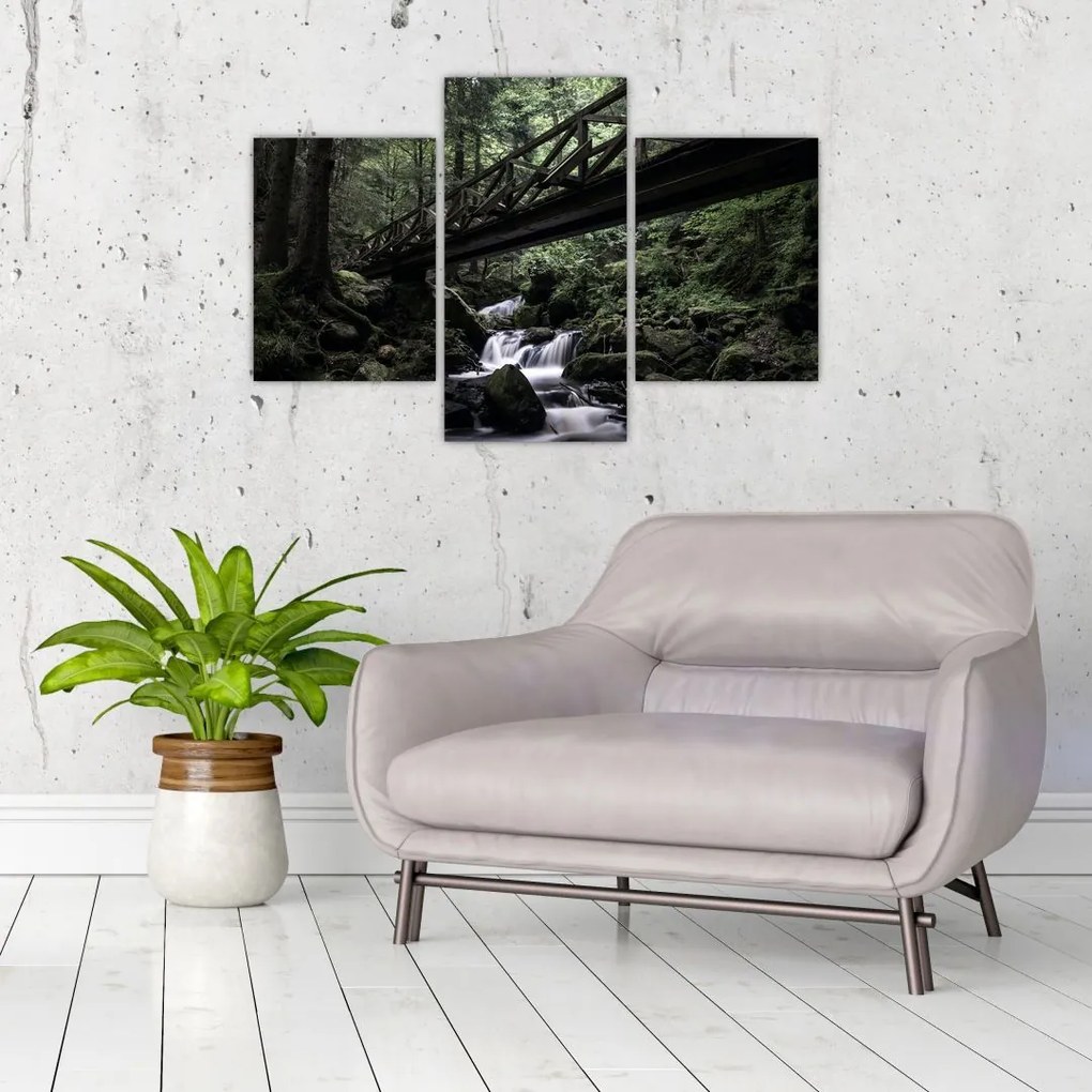 Tablou din pădurea neagră (90x60 cm)