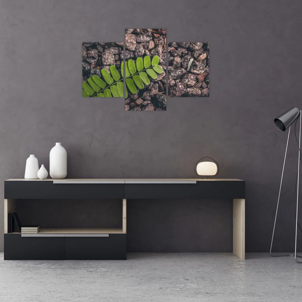 Tablou cu planta verde (90x60 cm)