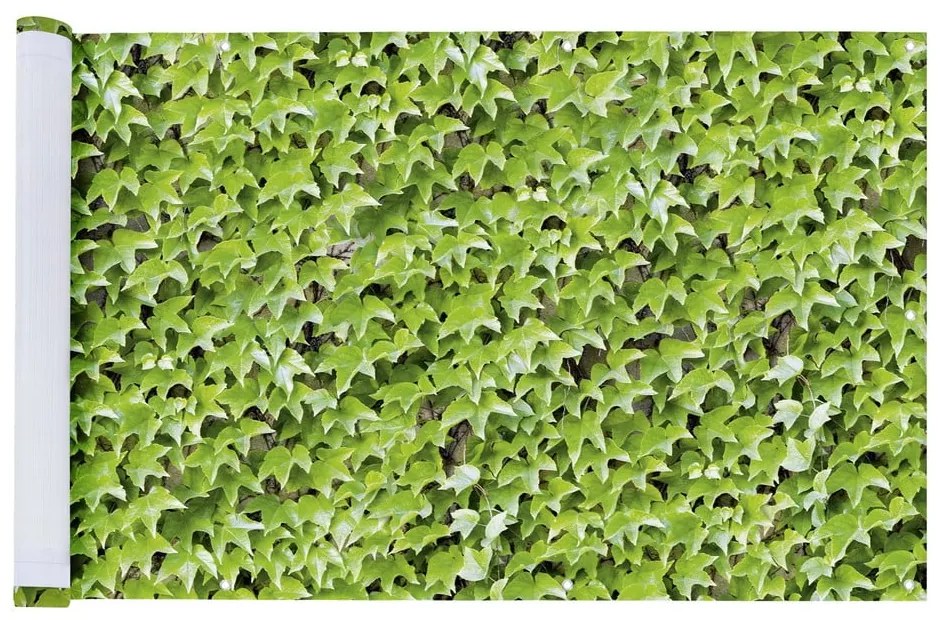 Paravan pentru balcon verde din plastic 500x85 cm Wilder Wein – Maximex