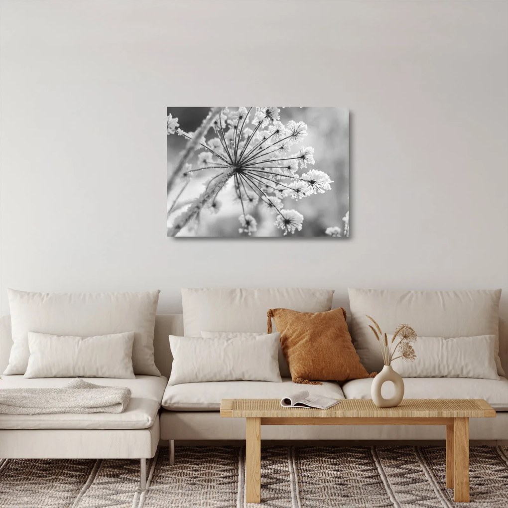 Tablou pe sticlă - Floare în timpul iernii (70x50 cm)