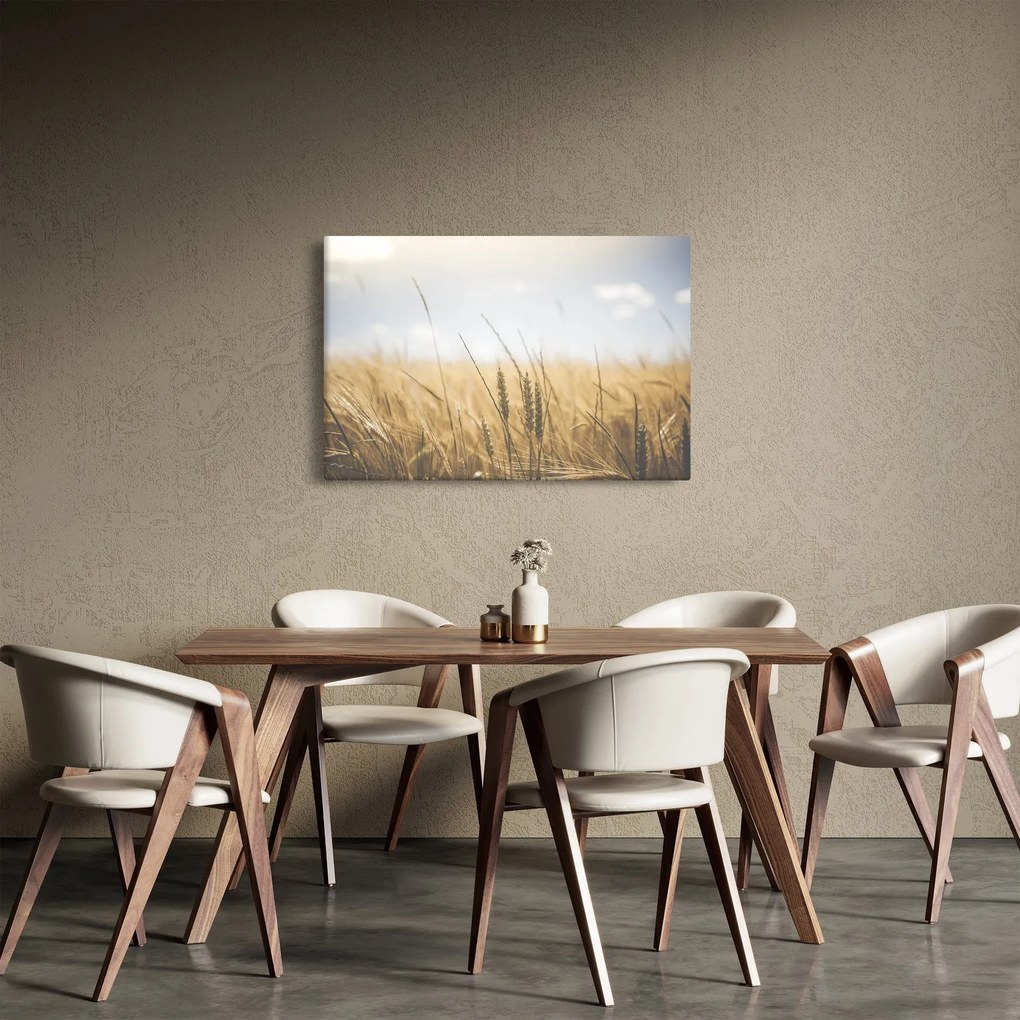 Tablou cu grâne (90x60 cm)