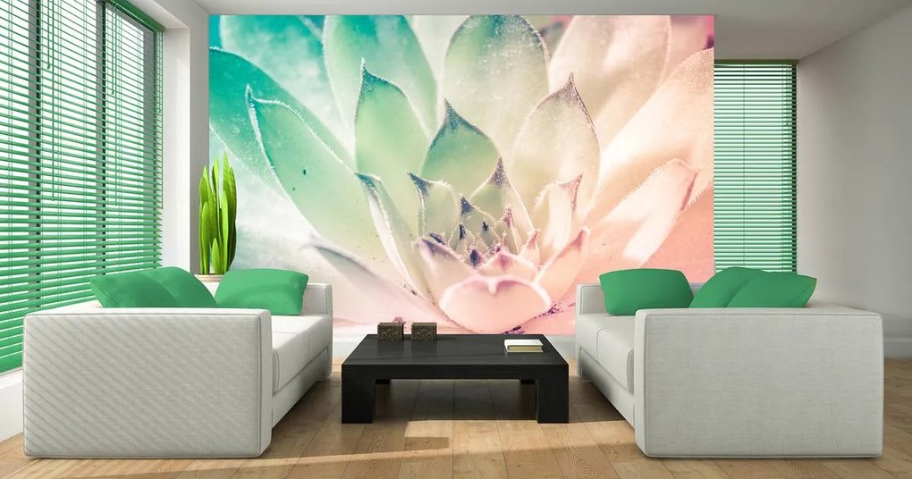 Fototapet - Floare de lotus (152,5x104 cm)