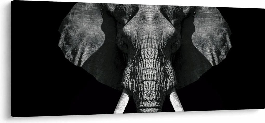 Tablou - Elefant pe fundal negru (120x50 cm)