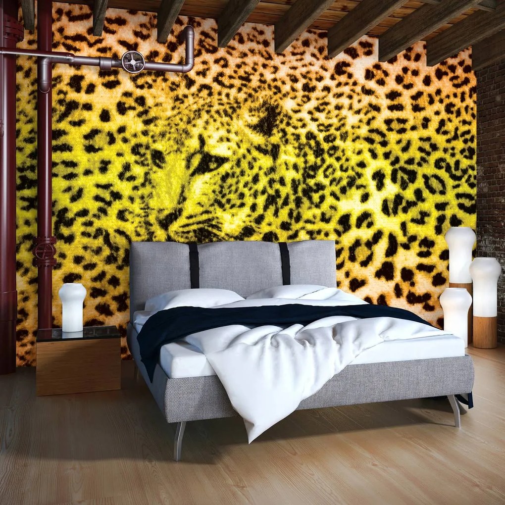 Fototapet - Gepard leopard animal (152,5x104 cm)