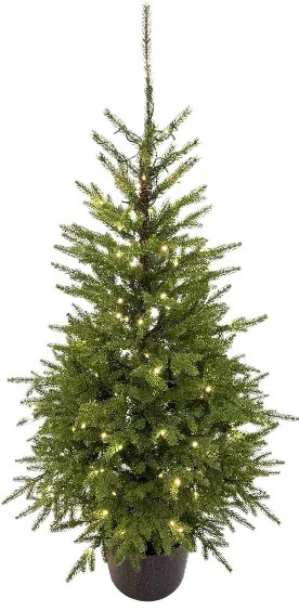 Brad în ghiveci 3D Molid Carpatic 150cm 150LED