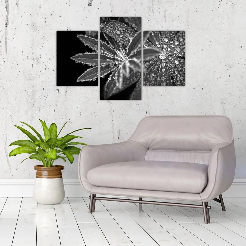 Tablou - Picături (90x60 cm)